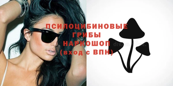 спиды Осинники