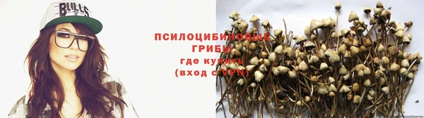 спиды Осинники