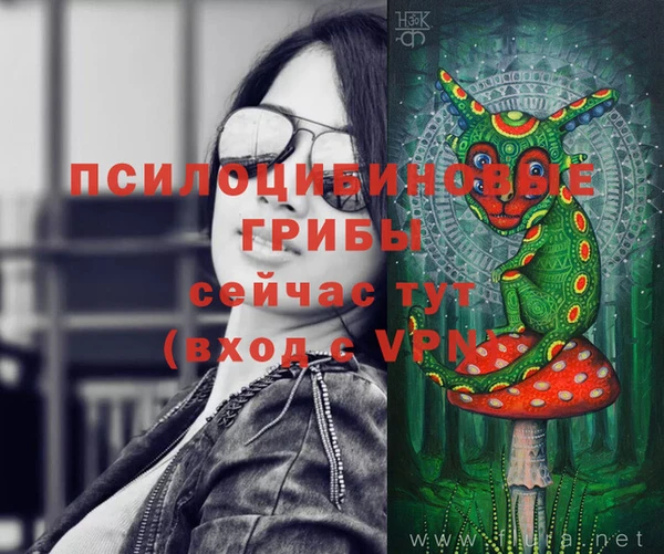 спиды Осинники