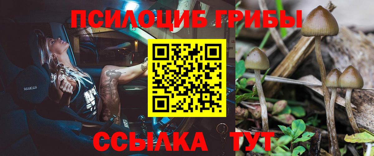 Псилоцибиновые грибы Psilocybe  как найти закладки  Апрелевка 