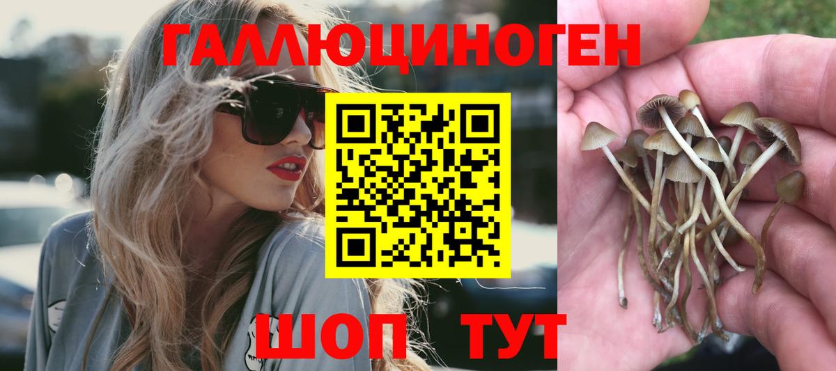 Галлюциногенные грибы Psilocybe  Вход с VPN  Апрелевка  Псилоцибиновые грибы Cubensis 