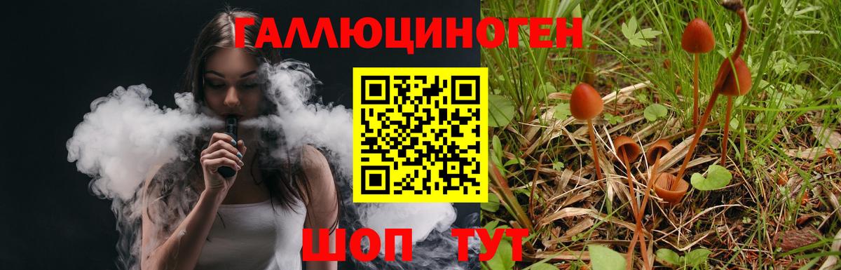 Псилоцибиновые грибы Psilocybe Апрелевка